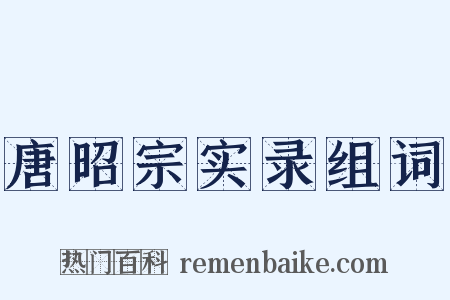 唐昭宗实录组词是什么意思的图片